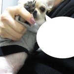 <b>식탐</b> 초절정 쩌는 우리애기 [사진마니有]