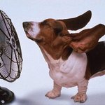 [보아/손담비] 두 여왕님이 돌아왔다.