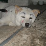 8월5일 <b>양산</b>내원사에서 고기굽던 저흴 찍어가신분을 찾습니다