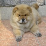 우리<b>봉선</b>이ㅋㅋㅋㅋㅋㅋㅋㅋ