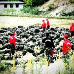 ★★군대를 전역하며..../여자는 보지마요[[욕하지마시길]]