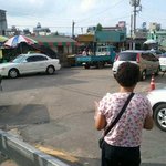 유기견보호소에서 입양된 유기<b>견들</b>을 도축 ..
