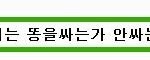어이없는 싸움 ㅋ