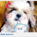 애지간하면 글안올리는데 진짜환장할<b>노릇</b>땜에 화나고답답해 죽겠습니다