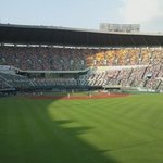 섬사람의 처음 가본 야구장체험기