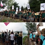 [4대강]멸종위기종인 단양쑥부쟁이를 아시나요?