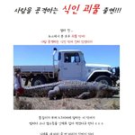 사람 공격하는 <b>식인</b> 괴물 출현!!!