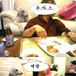 연씨네 7마리 개들 1