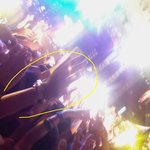 바닷가 페스티벌에서 만난 그녀를 찾아요ㅠㅠ(사진 有)