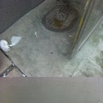 자고 일어났더니 <b>대문</b>앞에 어떤 x새끼가 똥을 싸놨네여 (혐오)