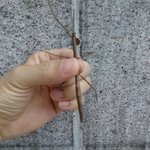 창원 충혼탑에서 괴생명체와 <b>조우</b>....