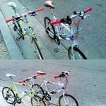 우리 뽕뽕이를 찾아주세요.........(__)