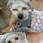 [사진有] 미남을 찾습니다!! 제발 한번씩만 봐주세요!!!