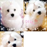 이기광 닮은 것 같지 않나요?