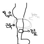 <b>헬스</b>를 하고나서 다리가 더 두꺼워졌어요...