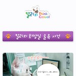 저때문에 회사 화장실 변기가 막혔어요ㅠㅠ