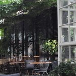 [카페] <b>야외</b>정원에서 여유롭게 차한잔을... - 스쿱가든