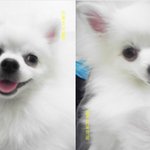 부탁드립니다!!!!