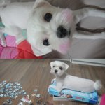 강남구논현동에 <b>거주</b>하시는분들 꼭좀봐주세요