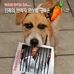 개가 물어가도 시원찮을...