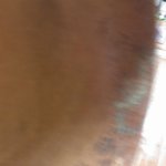 이 곳이 사람 사는 집이라고 생각 되시나요?