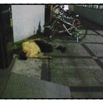 (노상<b>취침</b> 16) * 아저씨! 비와욧!! *