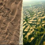 2050년 대한민국 <b>사막</b>이 될까?