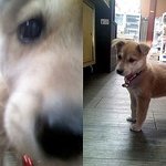 이 아가는 무슨 종일까요?