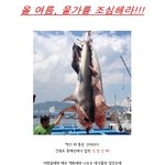 올 여름, <b>물가</b>를 조심해라!!!