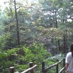 ☆★(사진有)동생의 사진★☆