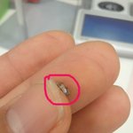 마트에서<b>시식</b>하다이빨깨진사건