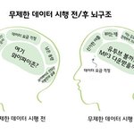 <b>무제</b>한 데이터 전 후 뇌구조 짤방 ㅋㅋ