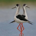 재미있는 <b>동물</b>의 세계!