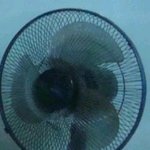 홈페이지와 다르던 경북의 펜션... 약속은 지켜주세요!!!!!!