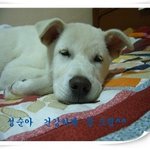 사례금 총 300만원 드리겠습니다