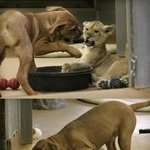 1년뒤에보자 <b>xxx</b>야