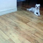 <b>남자</b>들은 <b>가족</b>에게 얃홍들키면 기분이 어떤가요?