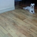 오빠의 은밀한 avi<b>파일</b>