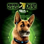 개어로!<b>캣우먼</b>!한이빨!미친고양이! 이게 다 뭐임?