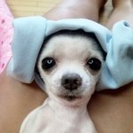 우리집 훈남인 남동생 여친구해요!!!(인증샷 있음)