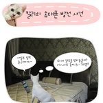 휴대폰때문에 대박지각했어요ㅠㅠ