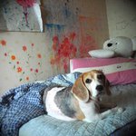 22살에 호프집'<b>주방</b>이모'가되다-3탄