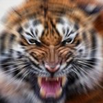 22살 여대생 굴욕시리즈..........