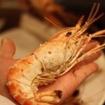 ★-_-나 파스타집에 왕새우들의 아빠였음-_- ★