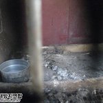 우리가 알아야 할 '개고기'의 진실 (꼭 읽어주세요..)