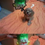 <b>사냥</b>은 이렇게
