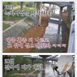 내 <b>세금</b> 떠내려간다