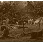 (실화) 나와 귀신이야기 11 - 산에서홀리다