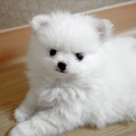 소꿉놀이 하고 사는 것 같아요 아직까진 ㅋ