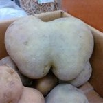 사진有)마트에서 본 <b>감자</b>녀석
